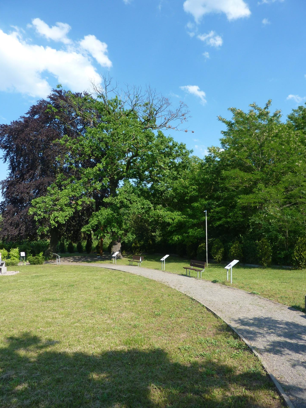 Park near Jabloniowa Street